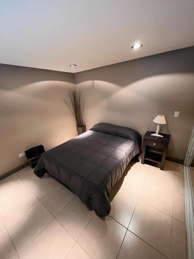 Apartament Departamentos Mitre Mendoza Zewnętrze zdjęcie